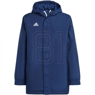 Adidas Entrada 22 Stadium Jr IB6079 Jacke