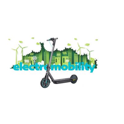 7. Rupr1002C Ruptor R1 V2 Kupferroller