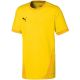 4. Puma teamGOAL 23 Trikot Jr 704160 07