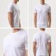 2. Paul&Shark Herren-T-Shirt aus Baumwolle, weiß, 26411035-10 – klassischer Schnitt, Logo