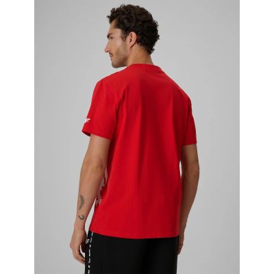 2. Herren-Baumwoll-Fächer-T-Shirt 4F 4FRSS26TTSHM4200-62S