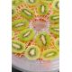 10. ETA Secca Plus Obsttrockner – 830190000