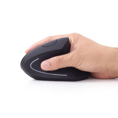 4. GEMBIRD MUSW-ERGO-01 Maus (optisch; 1600 DPI; schwarz)