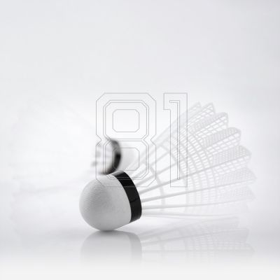 4. Teloon TB017 Badminton-Federbälle