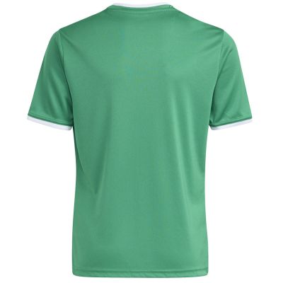 2. adidas Entrada 26 Jersey grün JZ2528 Kinder-T-Shirt