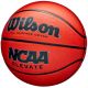 2. Wilson NCAA Elevation Ball WZ3007001XB