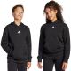 adidas Essentials Hoodie für Kinder, schwarz, JC9772