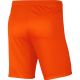 5. Nike Dry Park III NB KM Shorts BV6855 819