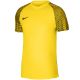 Nike DF Academy Jsy SS M T-shirt DH8031 719