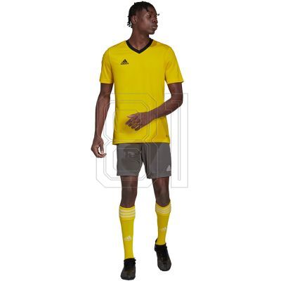 10. adidas Entrada 22 Trikot M HI2122