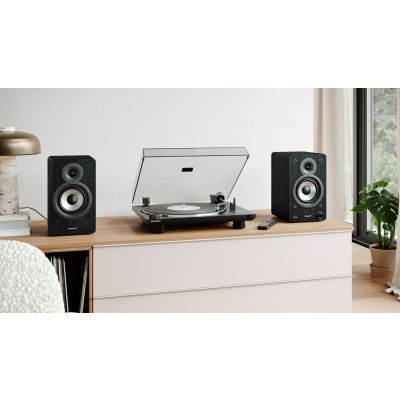 2. Automatischer Plattenspieler von Sharp | RP-TT100 | Bluetooth-Ausgang | USB-Anschluss