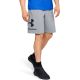 6. Under Armour Sportstyle Baumwoll-Logo-Shorts M 1329300-035