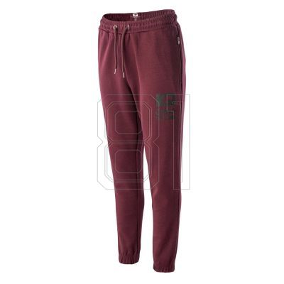 2. IQ Sorinnis W 92800368499 Hose