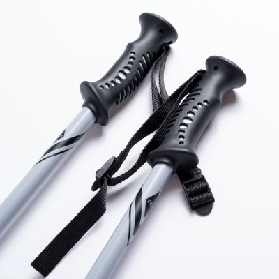 3. ALPINE SKI II Stöcke