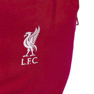 4. adidas Liverpool FC Rucksack JZ5881