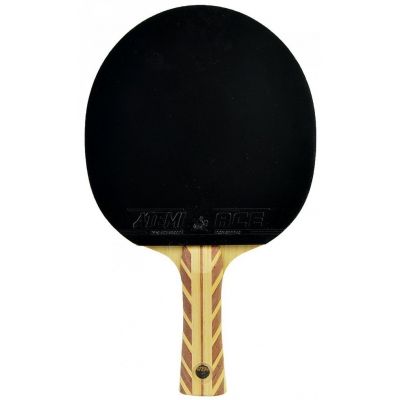 3. Tischtennisschläger ATEMI 5000 BALSA CARBON concave