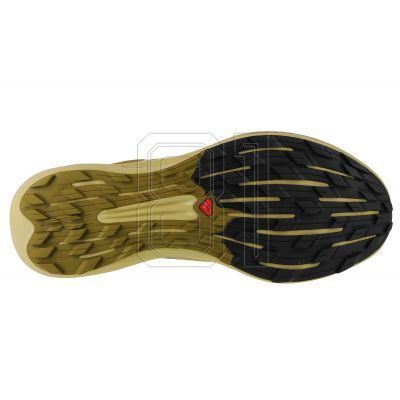 4. Salomon Pulsar Trail-Pro M 415936 Schuhe