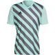 2. adidas Entrada 22 Graphic Jersey M HF0119
