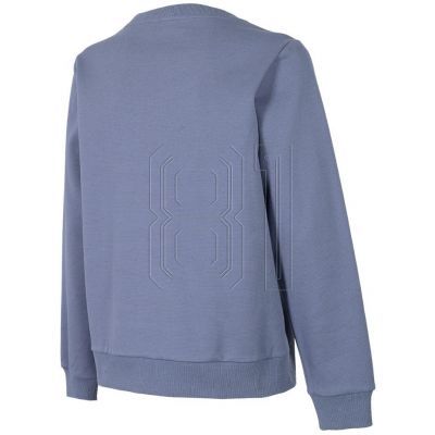 2. Sweatshirt 4F W H4Z22 BLD020 25S