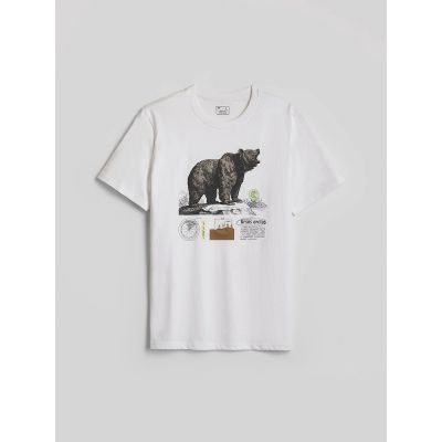 6. Herren-T-Shirt mit Aufdruck, regulär, Größe 4F 4FKAW26TTSHM4473-11S