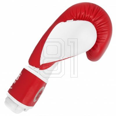 5. MASTERS RBT-TRW 01210-02 Leder-Boxhandschuhe