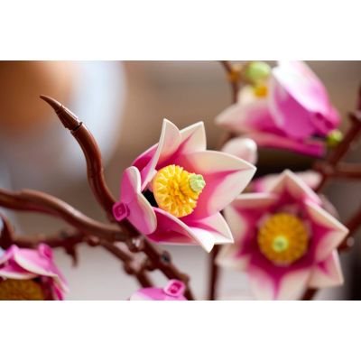 12. LEGO Botanicals 11510 - Magnolienzweige
