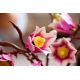 12. LEGO Botanicals 11510 - Magnolienzweige