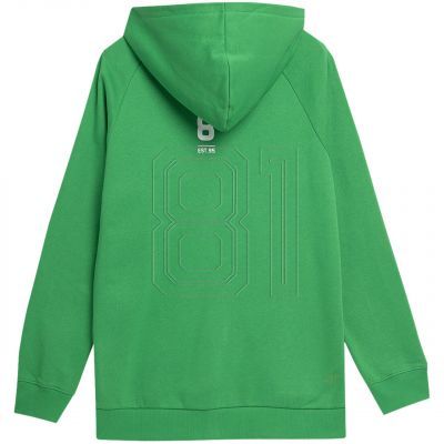 2. Sweatshirt 4F M 4FSS23TSWSM236 41S