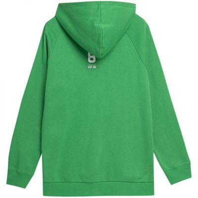 2. Sweatshirt 4F M 4FSS23TSWSM236 41S