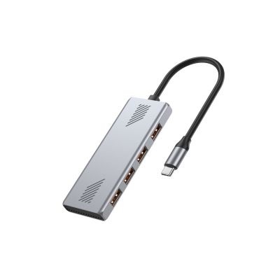2. GEMBIRD 4-Port USB 3.2 (GEN 2) Typ-C Hub Grau