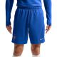 Nike France Dri-Fit FFF Strike Herrenshorts Blau IB4609 480