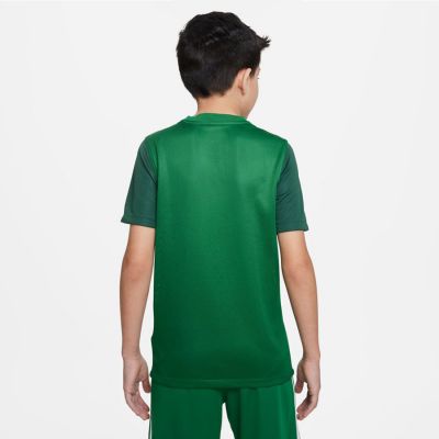 3. Nike Trophy V JSY Jr T-Shirt DR0942-302