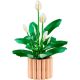 17. LEGO Botanical 11504 Spathiphyllum in einem Topf