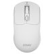 SAVIO Kabellose Maus BT 2,4 GHz Weiß MB-05