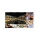 12. LG 55VSM5J-H Signage-Display, Flachbildschirm Digital Signage, 139,7 cm (55") LED, WLAN, 500 cd/m², Full HD, Schwarz, 24/7