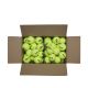 3. Wilson Triniti Club Tennisball WR8201501001