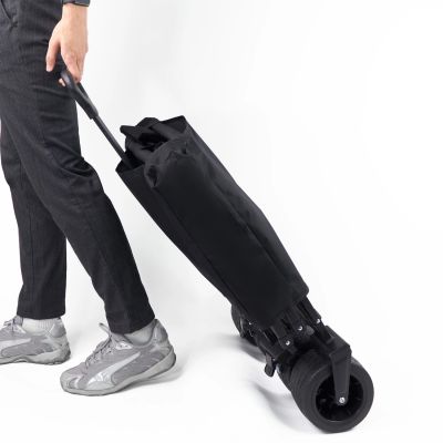 8. Wozinsky WZP-100 Strand-, Touristen-, Gartenwagen, langlebig, breite Räder, mit Sicherheitsnetz bis 100 kg - schwarz