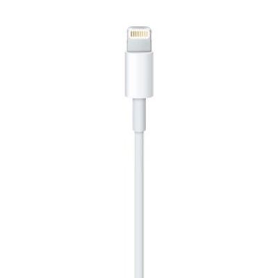 2. Lightning-auf-USB-Kabel (0,5 m)