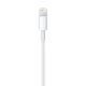 2. Lightning-auf-USB-Kabel (0,5 m)
