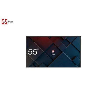 31. AVTEK DS2 55" Informationsmonitor