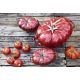 5. Ovaler gusseiserner Topf „Tomate“ STAUB 40511-774-0 – rot, 2,5 l