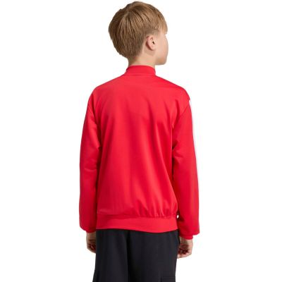 5. adidas Essentials Cimacool Kinder-Sweatshirt Rot KQ9728