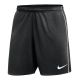 Nike Dri-FIT Park Shorts HM7146-010