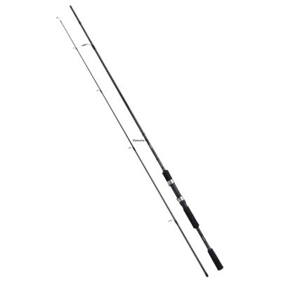 Shimano FX XT Spinnrute 2,40 m 10-30 g 2-teilig EVA