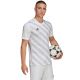 8. adidas Entrada 22 Graphic Jersey M HF0129