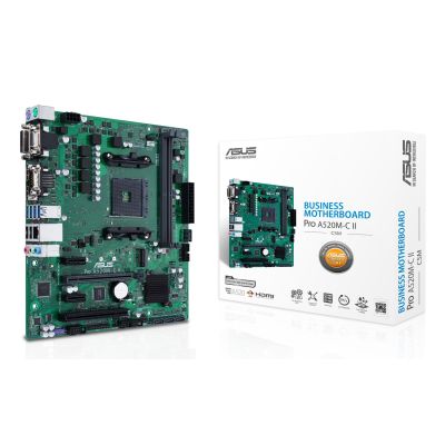 Asus Pro A520M-C II/CSM Mainboard