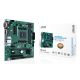 Asus Pro A520M-C II/CSM Mainboard