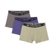 Jungen-Boxershorts 4F M061 3er-Pack mehrfarbig 1 4FJWAW25UBXSM061 91S