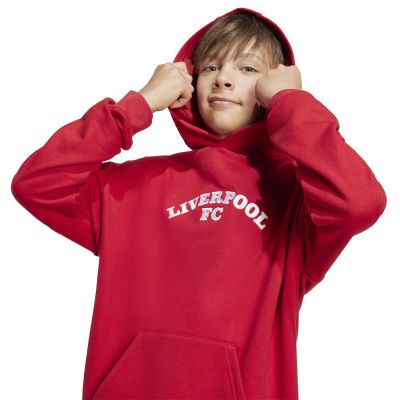 3. Adidas Liverpool FC Hoody Junior JW7879 Sweatshirt