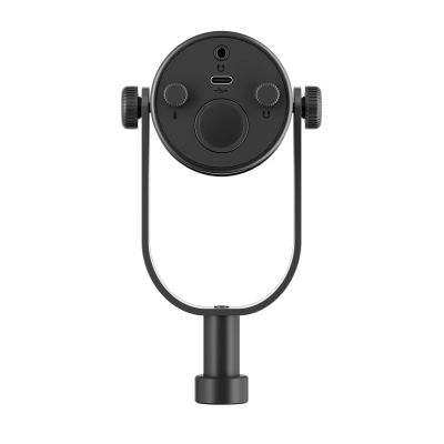 3. BOYA CastMic P60B Studiomikrofon mit Mikrofonarm, kabelgebunden, USB/XLR – Schwarz